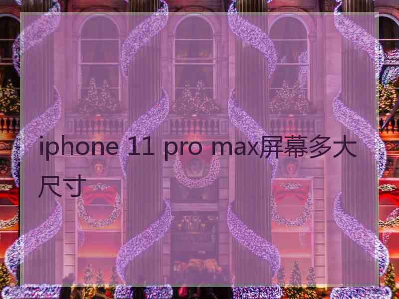 iphone 11 pro max屏幕多大尺寸