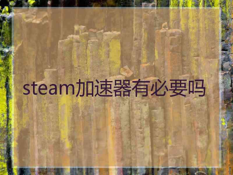 steam加速器有必要吗