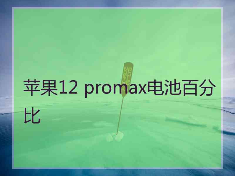 苹果12 promax电池百分比