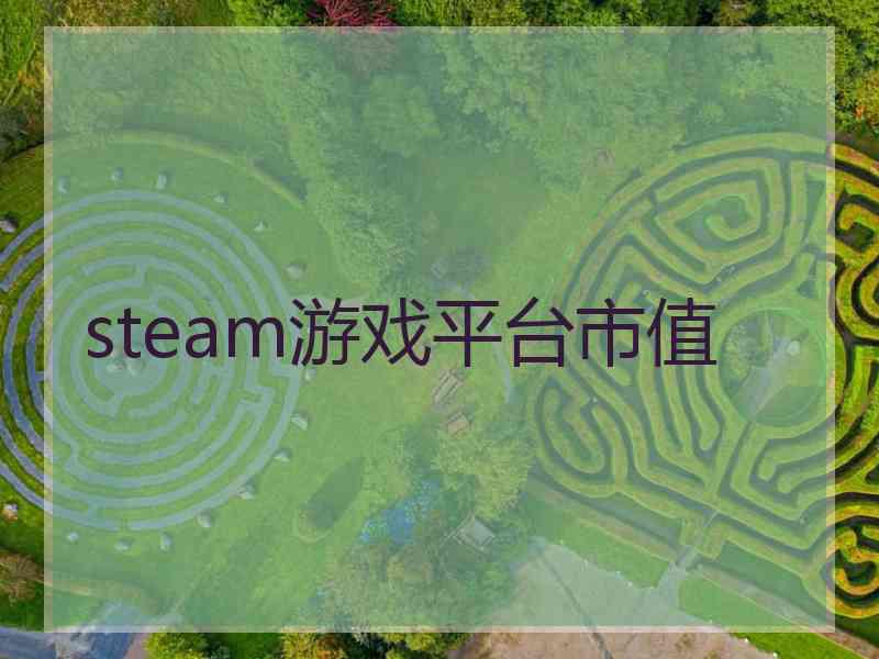 steam游戏平台市值