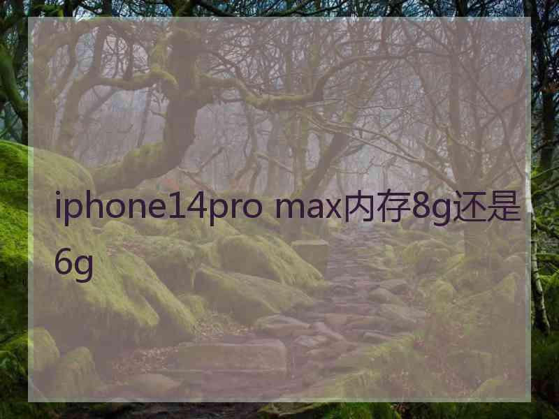 iphone14pro max内存8g还是6g