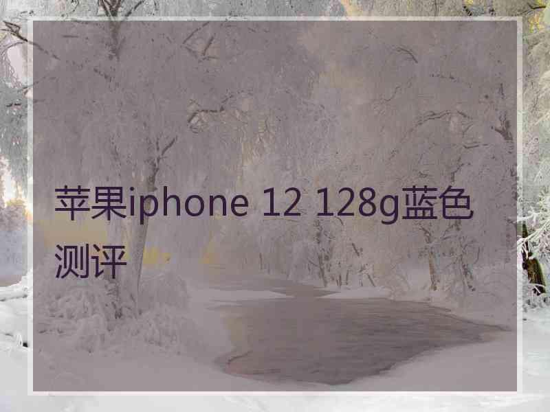 苹果iphone 12 128g蓝色测评