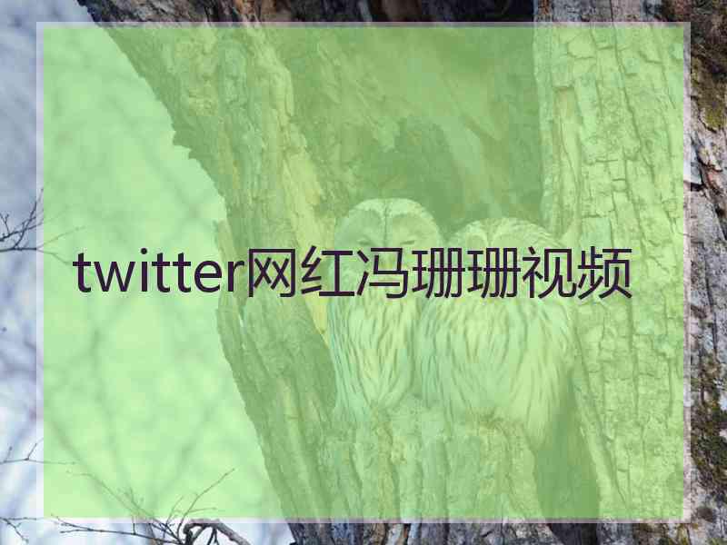 twitter网红冯珊珊视频