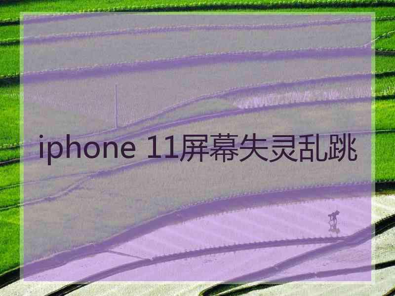 iphone 11屏幕失灵乱跳