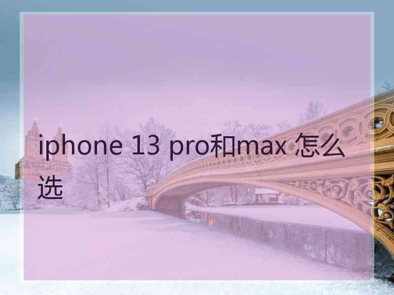 iphone 13 pro和max 怎么选