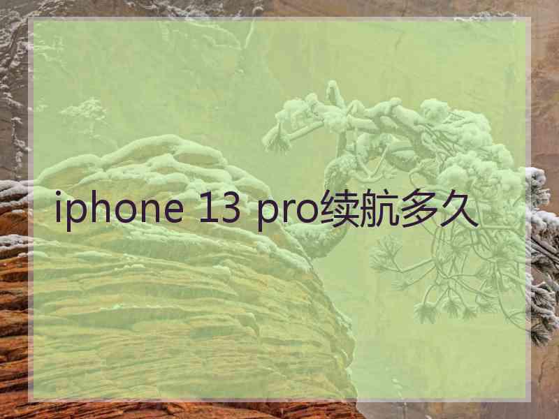 iphone 13 pro续航多久