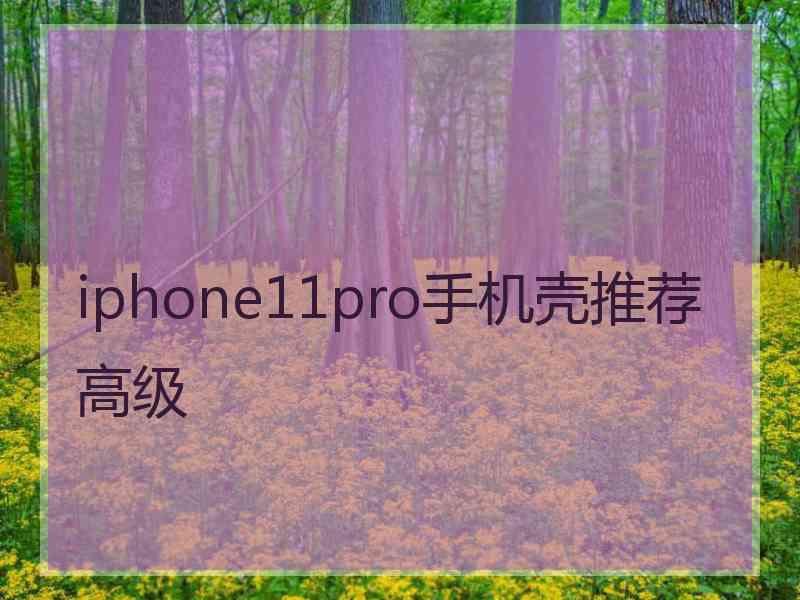 iphone11pro手机壳推荐高级