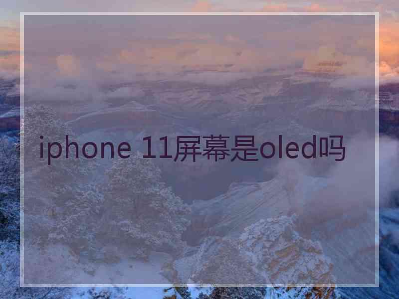 iphone 11屏幕是oled吗