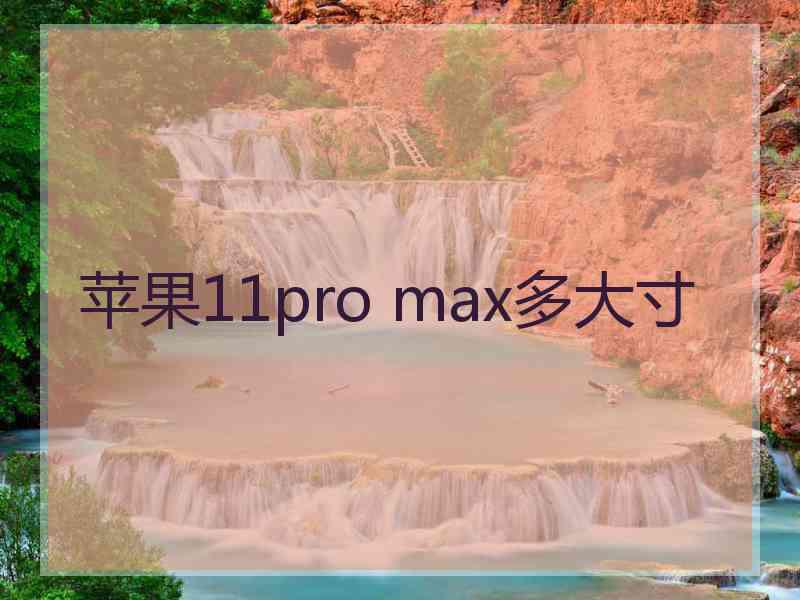 苹果11pro max多大寸