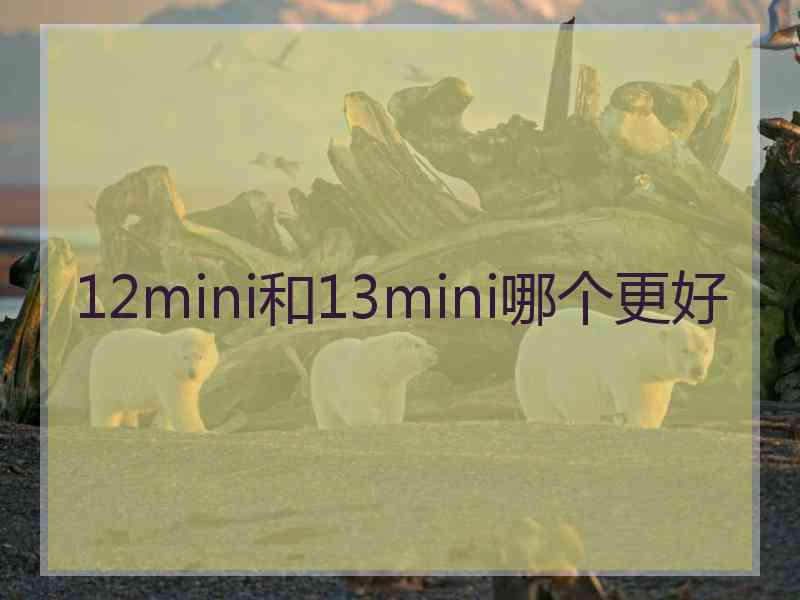 12mini和13mini哪个更好