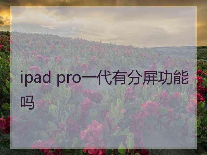 ipad pro一代有分屏功能吗