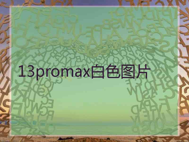 13promax白色图片