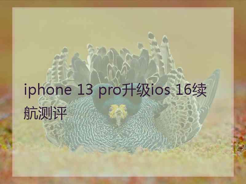 iphone 13 pro升级ios 16续航测评