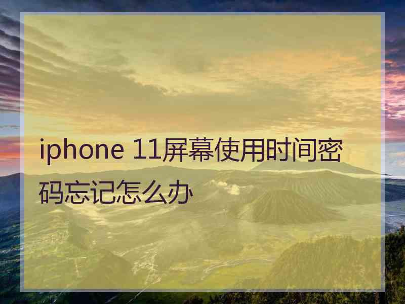 iphone 11屏幕使用时间密码忘记怎么办