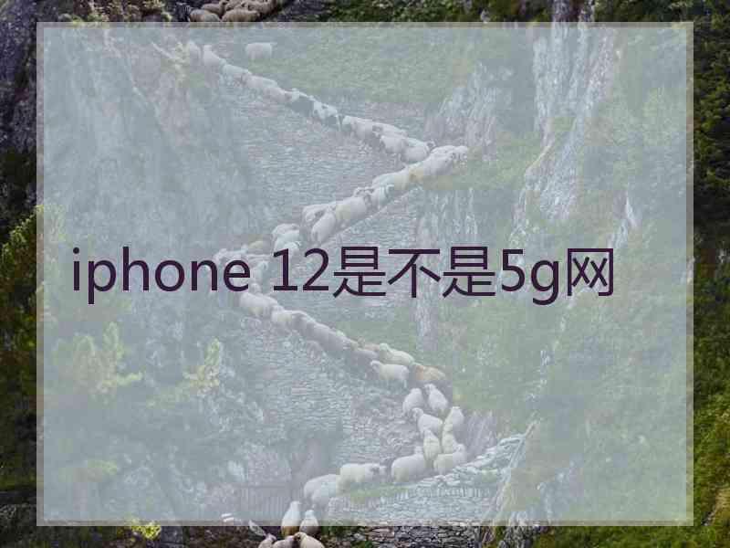 iphone 12是不是5g网