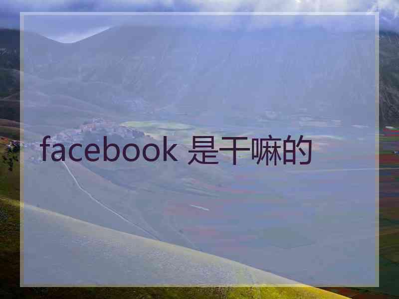 facebook 是干嘛的