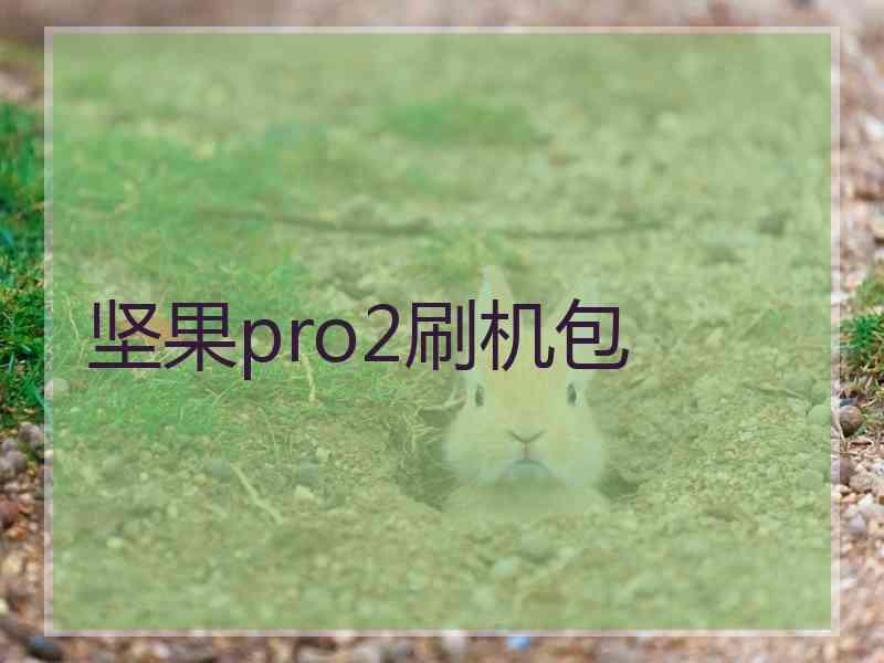 坚果pro2刷机包