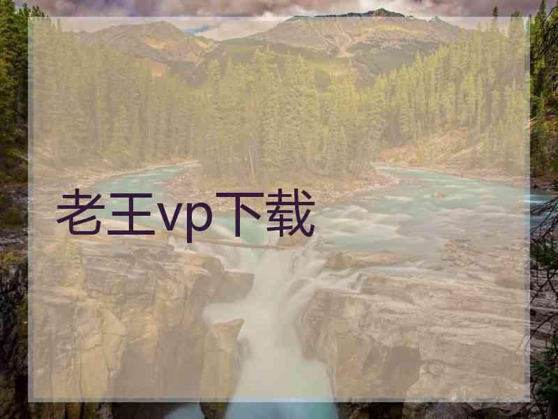 老王vp下载