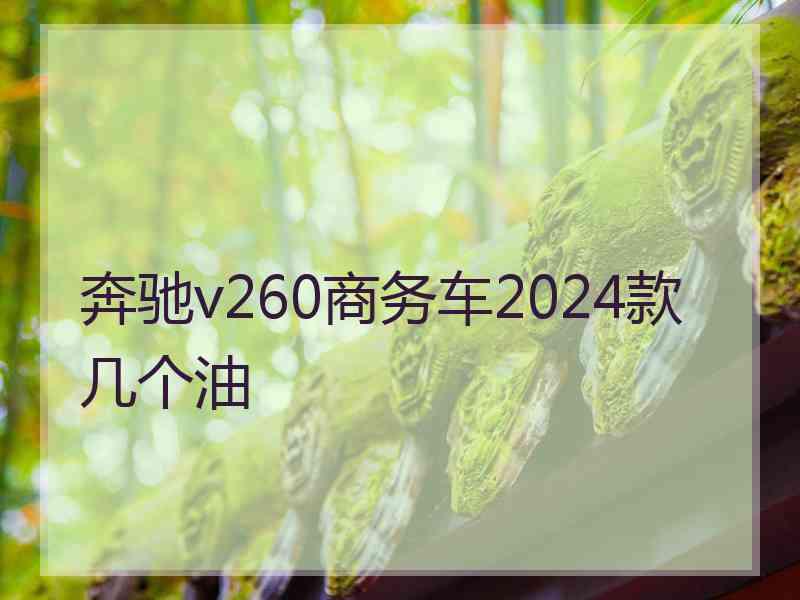 奔驰v260商务车2024款几个油