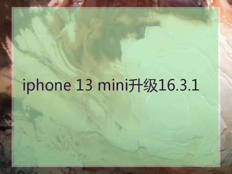 iphone 13 mini升级16.3.1