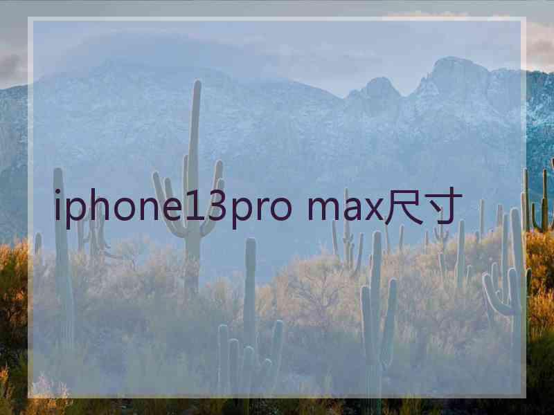 iphone13pro max尺寸