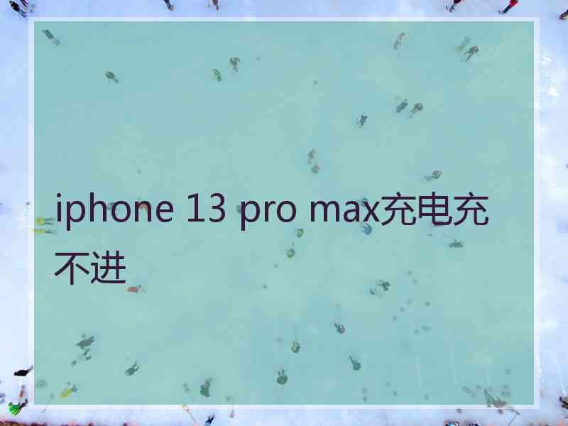 iphone 13 pro max充电充不进