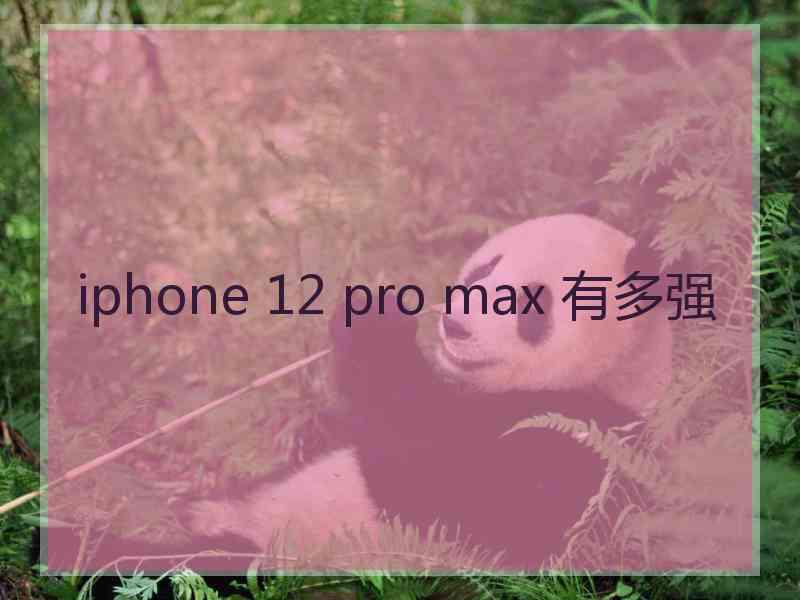 iphone 12 pro max 有多强