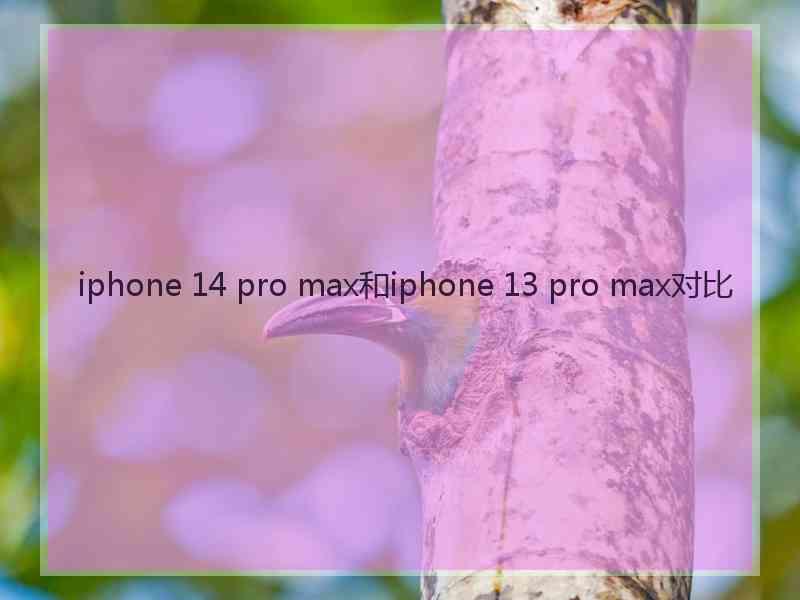 iphone 14 pro max和iphone 13 pro max对比