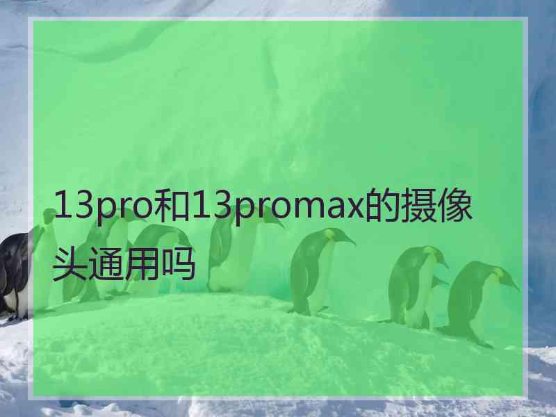 13pro和13promax的摄像头通用吗