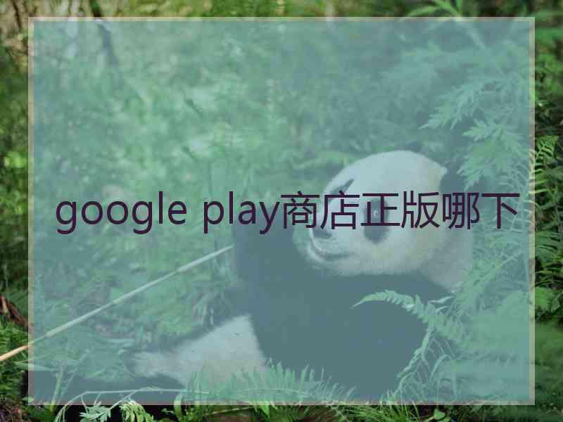 google play商店正版哪下