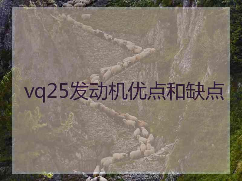 vq25发动机优点和缺点