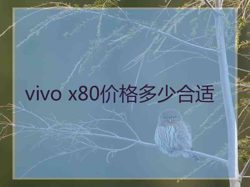 vivo x80价格多少合适