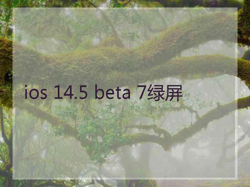 ios 14.5 beta 7绿屏