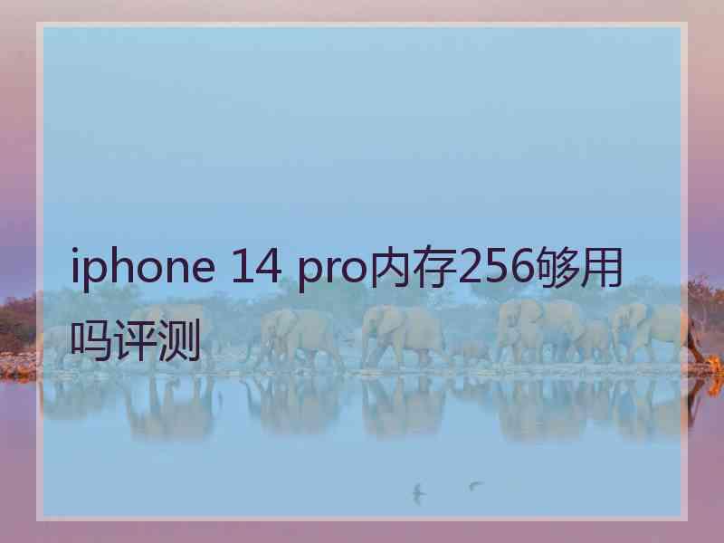 iphone 14 pro内存256够用吗评测