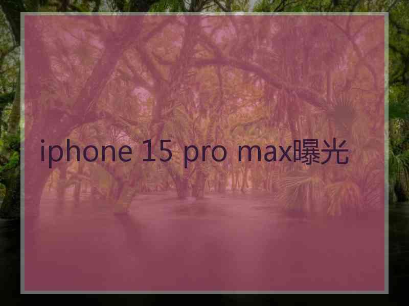 iphone 15 pro max曝光