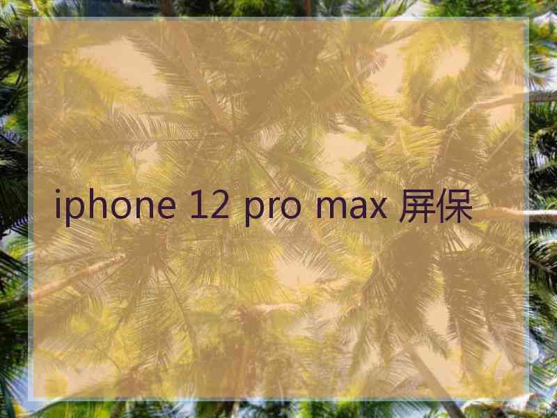 iphone 12 pro max 屏保