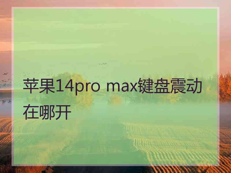 苹果14pro max键盘震动在哪开