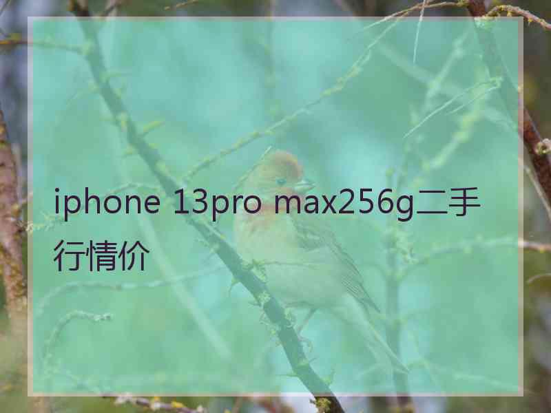 iphone 13pro max256g二手行情价