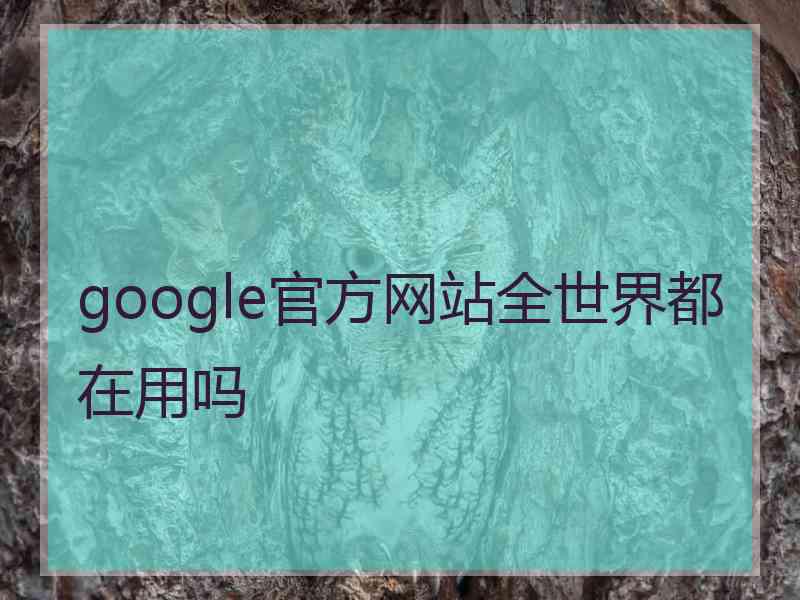 google官方网站全世界都在用吗