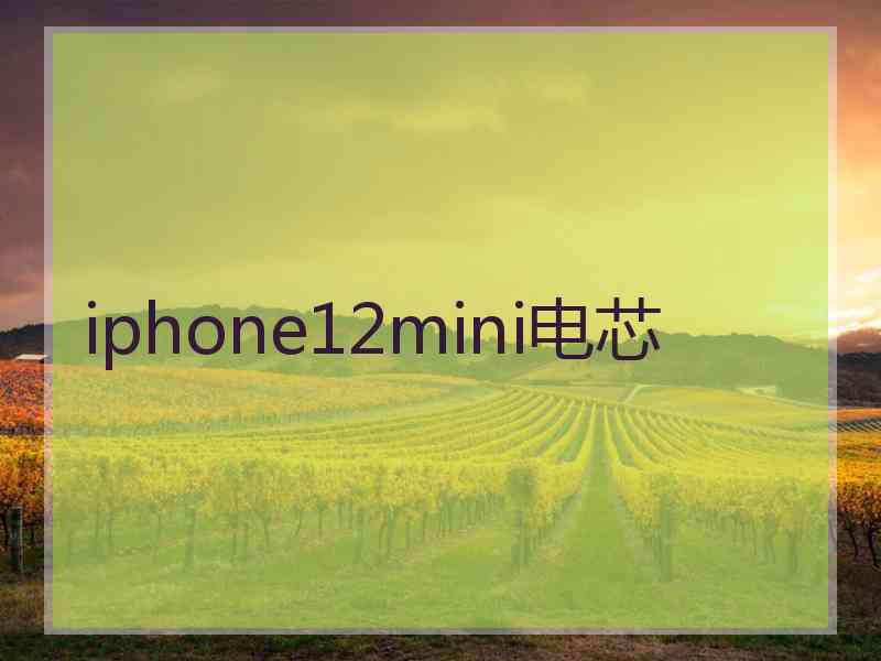 iphone12mini电芯