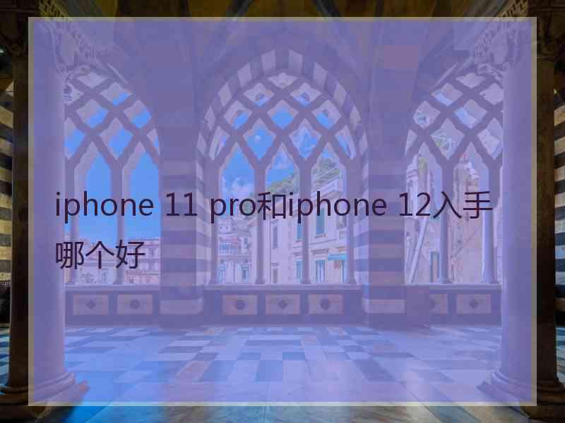 iphone 11 pro和iphone 12入手哪个好