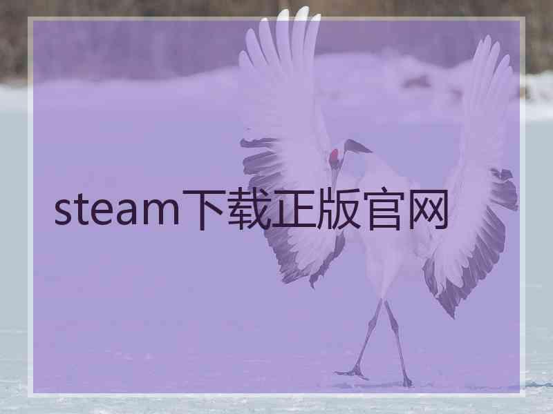 steam下载正版官网