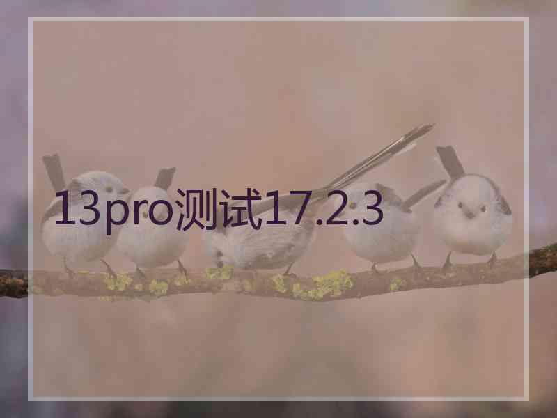 13pro测试17.2.3