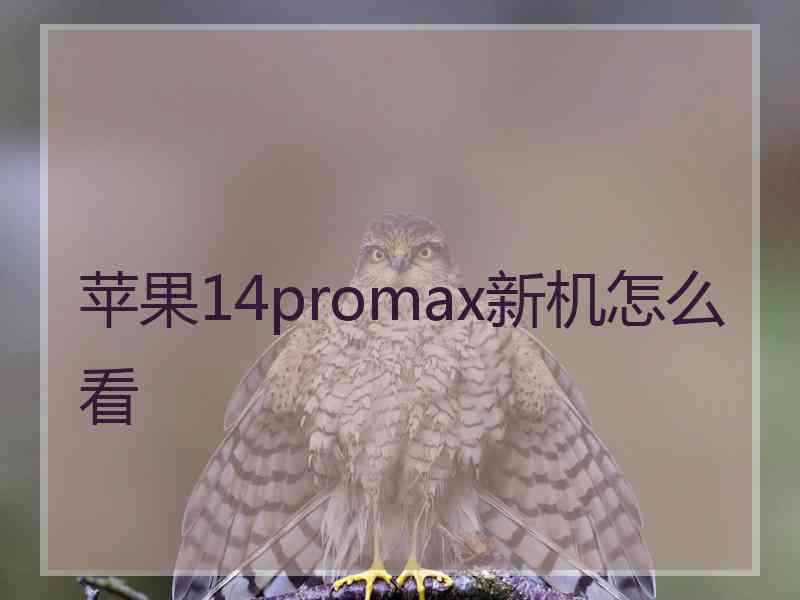 苹果14promax新机怎么看