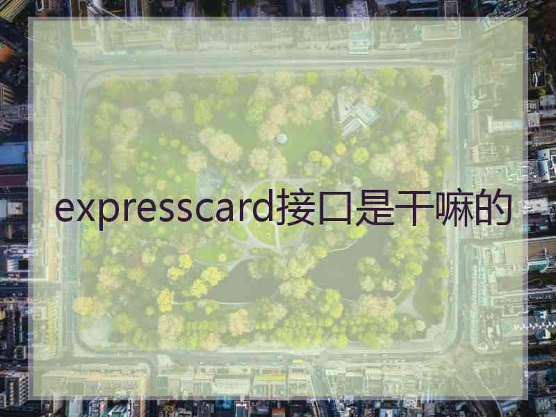 expresscard接口是干嘛的