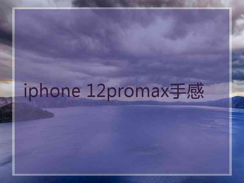 iphone 12promax手感