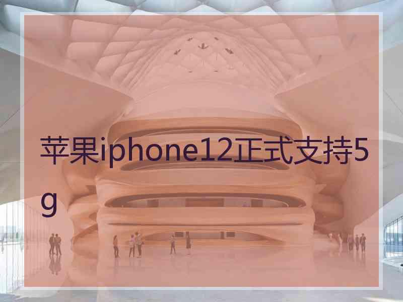 苹果iphone12正式支持5g