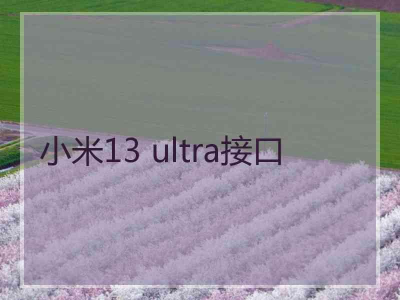 小米13 ultra接口