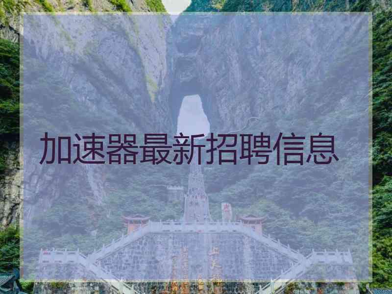 加速器最新招聘信息