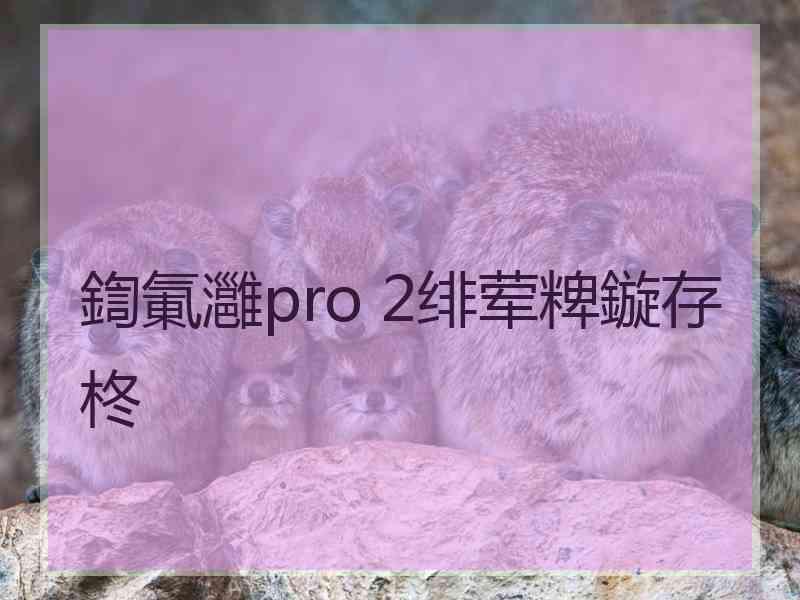 鍧氭灉pro 2绯荤粺鏇存柊